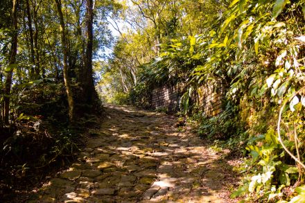 Caminhos do Mar e Tirolesa Voo da Serra terão desconto e programação especial em comemoração à Semana da Pátria