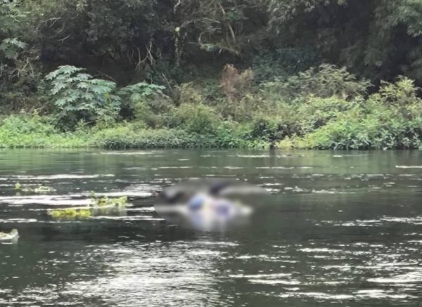 IMG_2319-e1750968758539