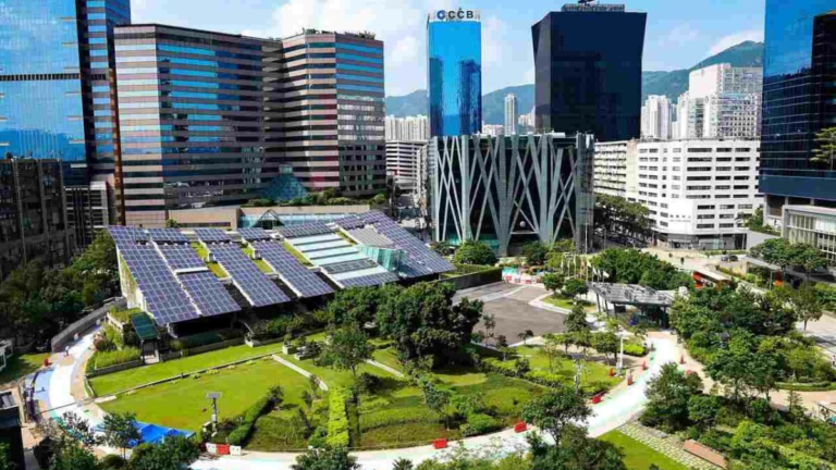 image (8)
